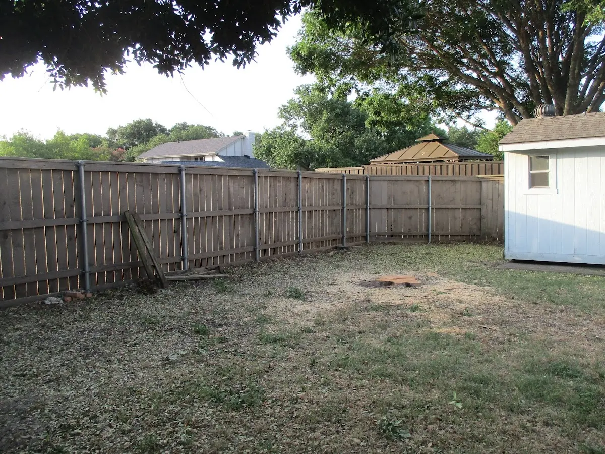 Cleared yard after professional tree removal in Saint Robert
